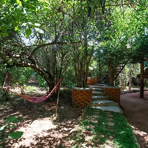 The Thick Forest , Sigiriya Sri Lanka