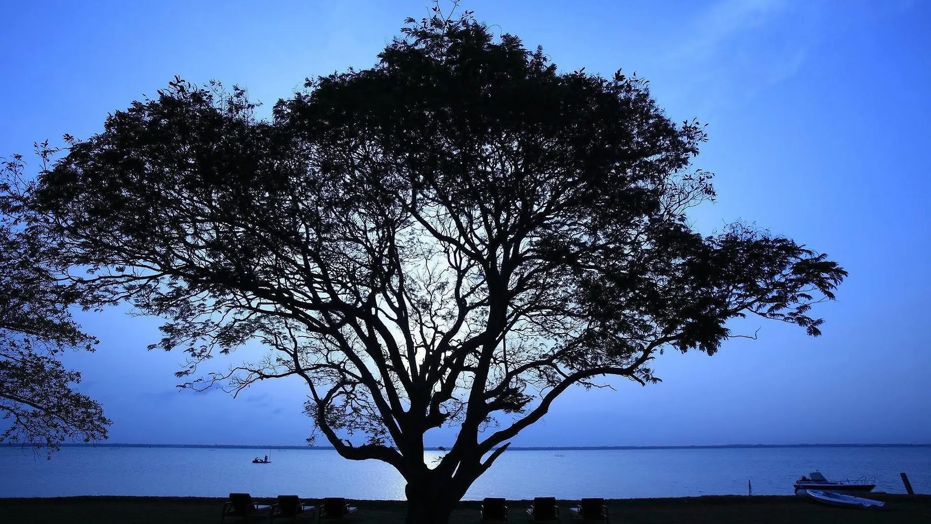 Resort Jetwing Lagoon Wellness, A Luxury Reserve - Adults Only Negombo